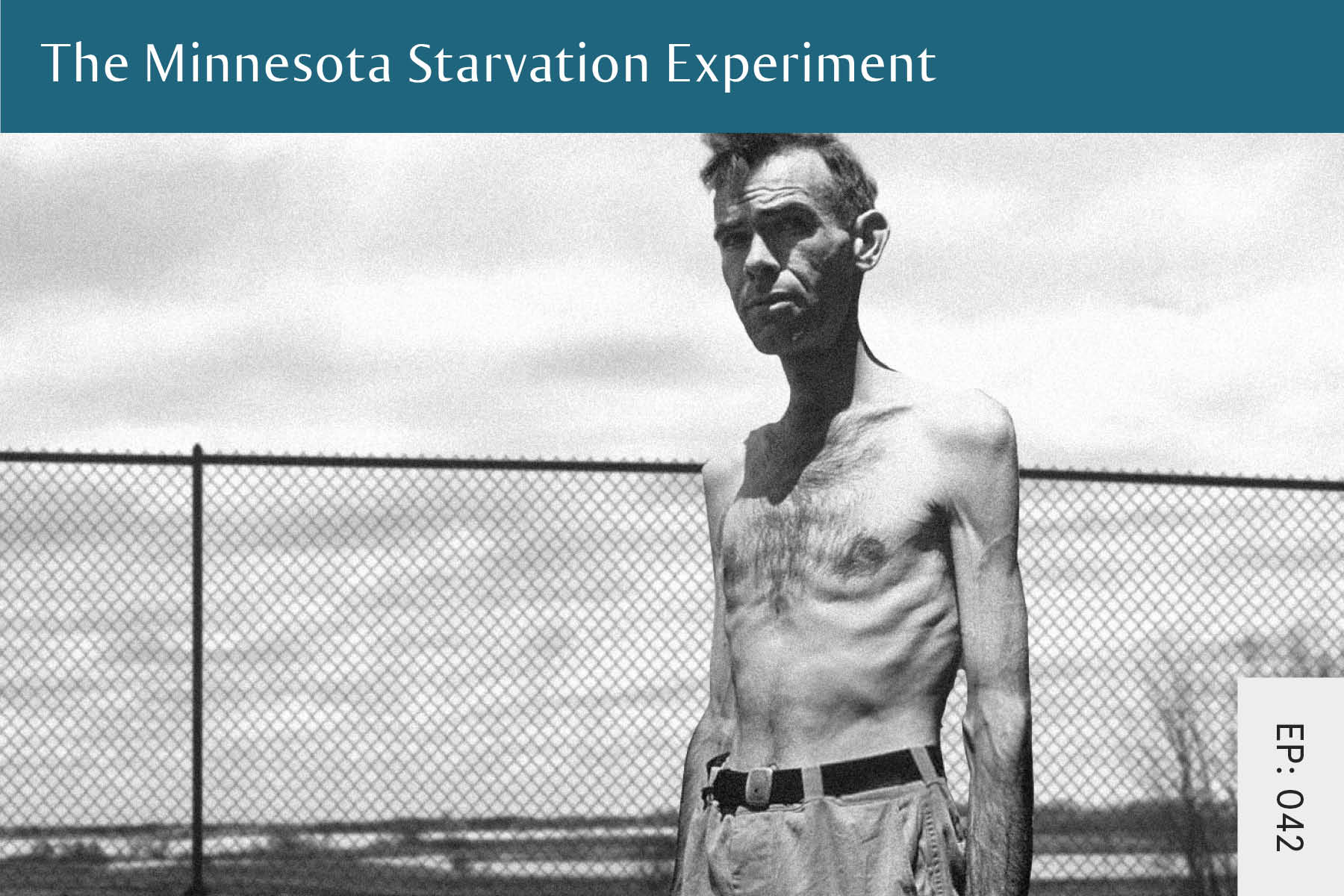 042: The Minnesota Starvation Experiment - Seven Health: Eating Disorder Recovery and Anti Diet Nutritionist
