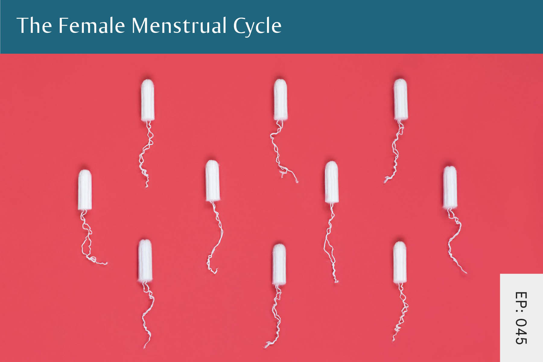 All About the Female Menstrual Cycle