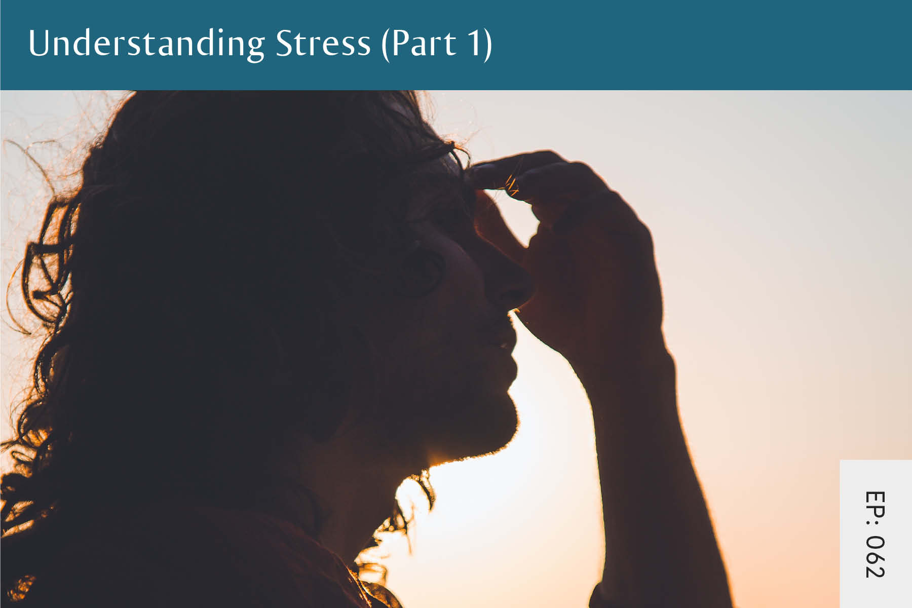 062: Understanding Stress (Part 1) - Seven Health: Eating Disorder Recovery and Anti Diet Nutritionist