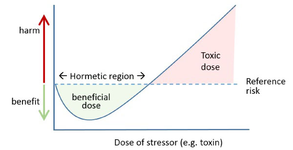 Have You Heard Of Hormesis?, Seven Health: Eating Disorder Recovery and Anti Diet Nutritionist