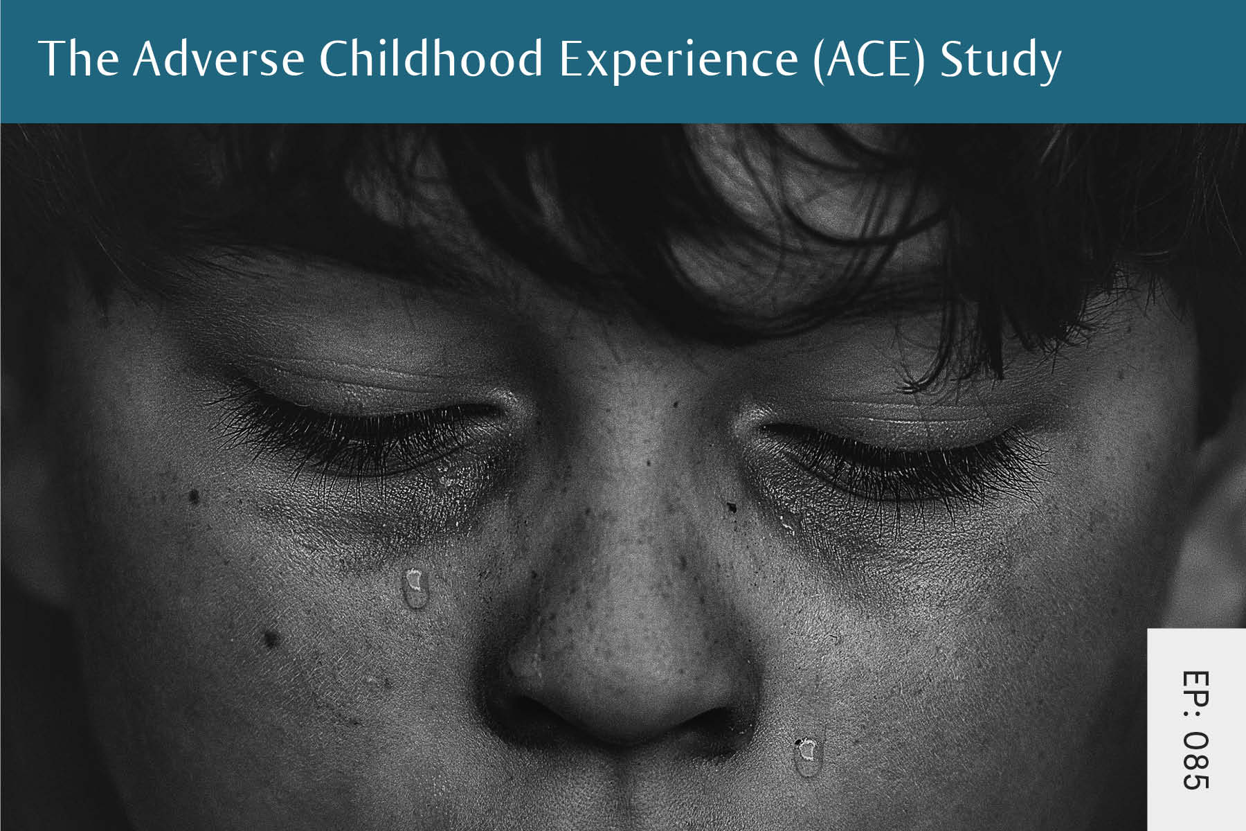 085: The Adverse Childhood Experience (ACE) Study - Seven Health: Eating Disorder Recovery and Anti Diet Nutritionist