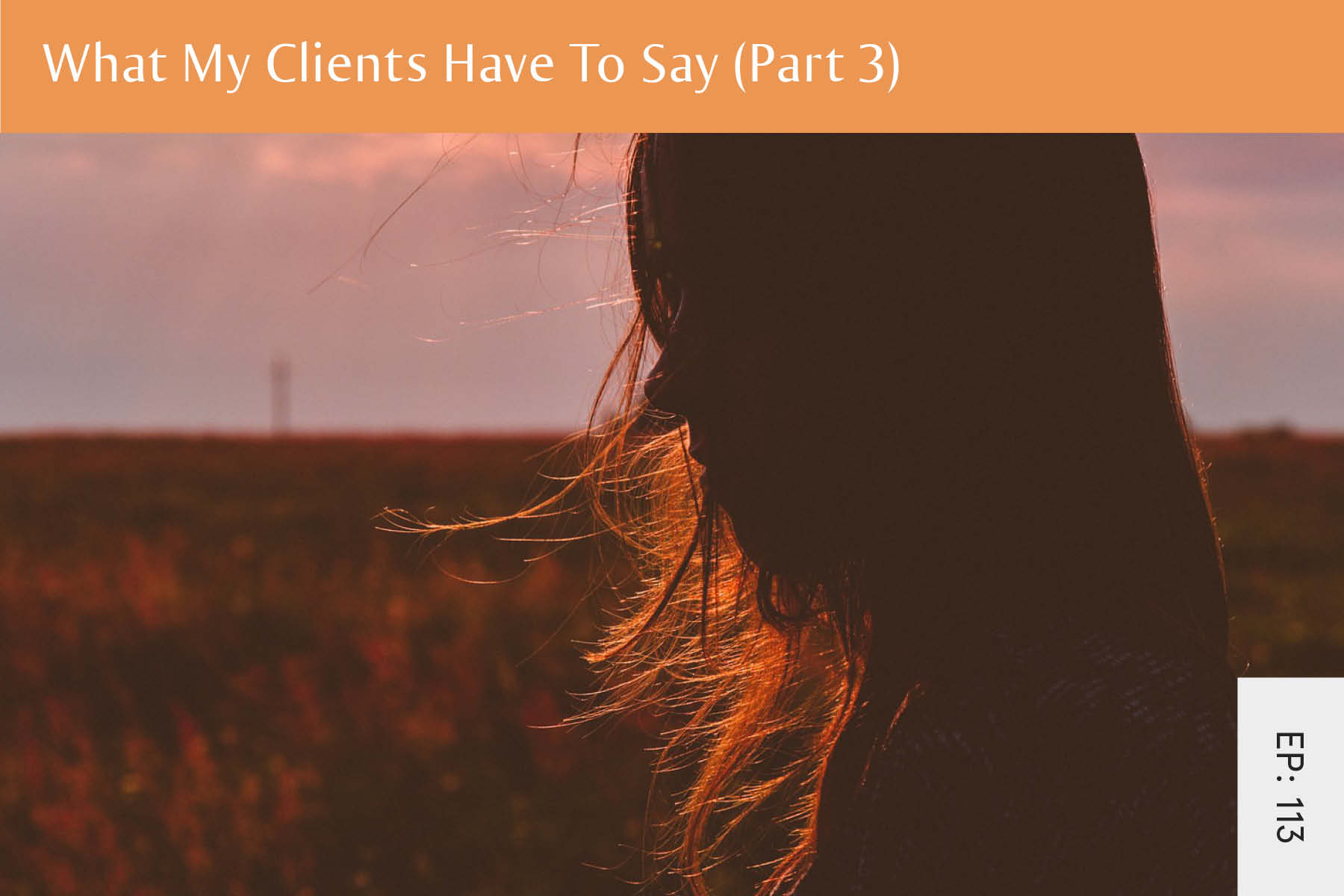 113: What My Clients Have To Say (Part 3) - Seven Health: Eating Disorder Recovery and Anti Diet Nutritionist