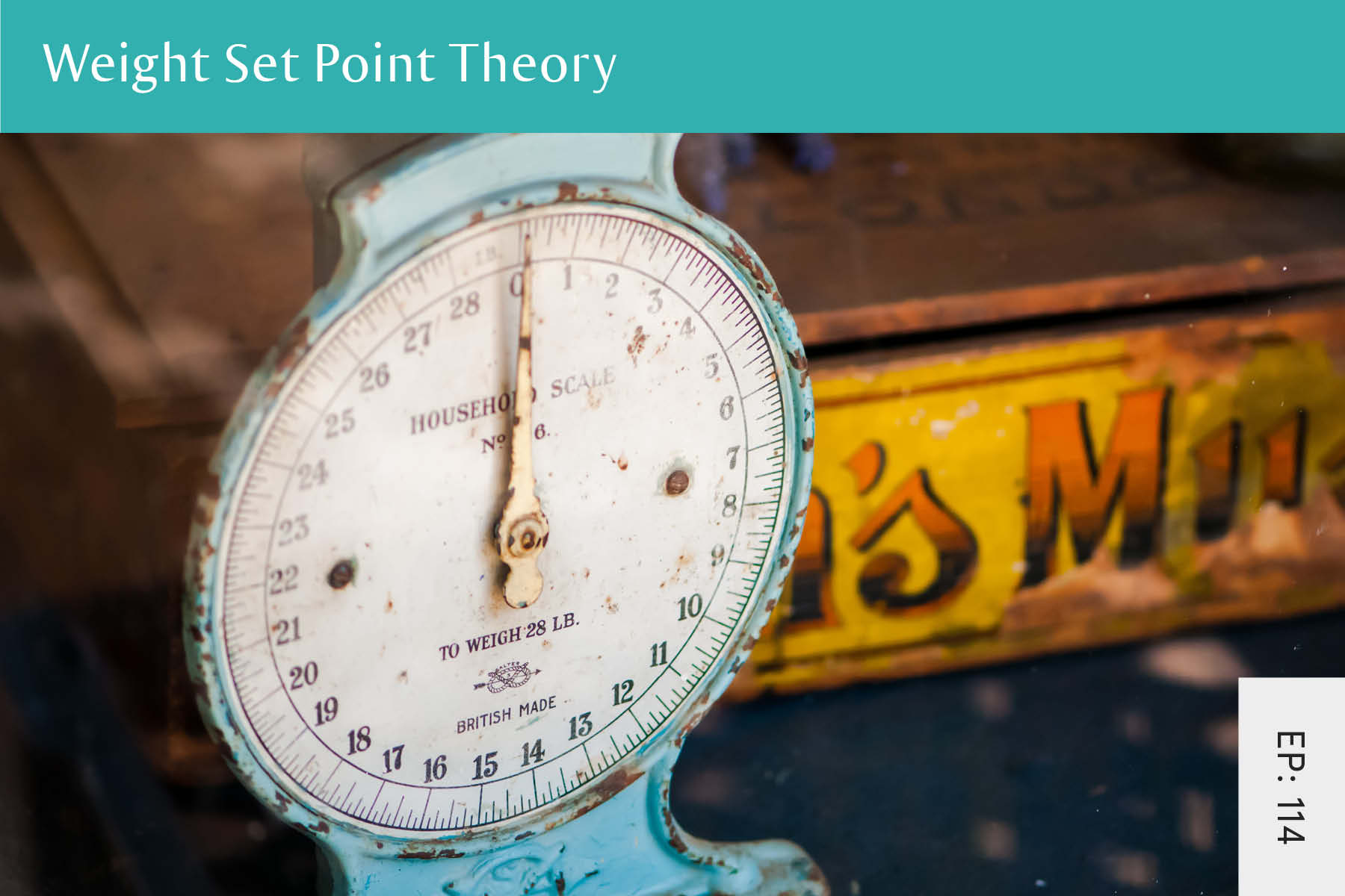114: Weight Set Point Theory - Seven Health: Eating Disorder Recovery and Anti Diet Nutritionist