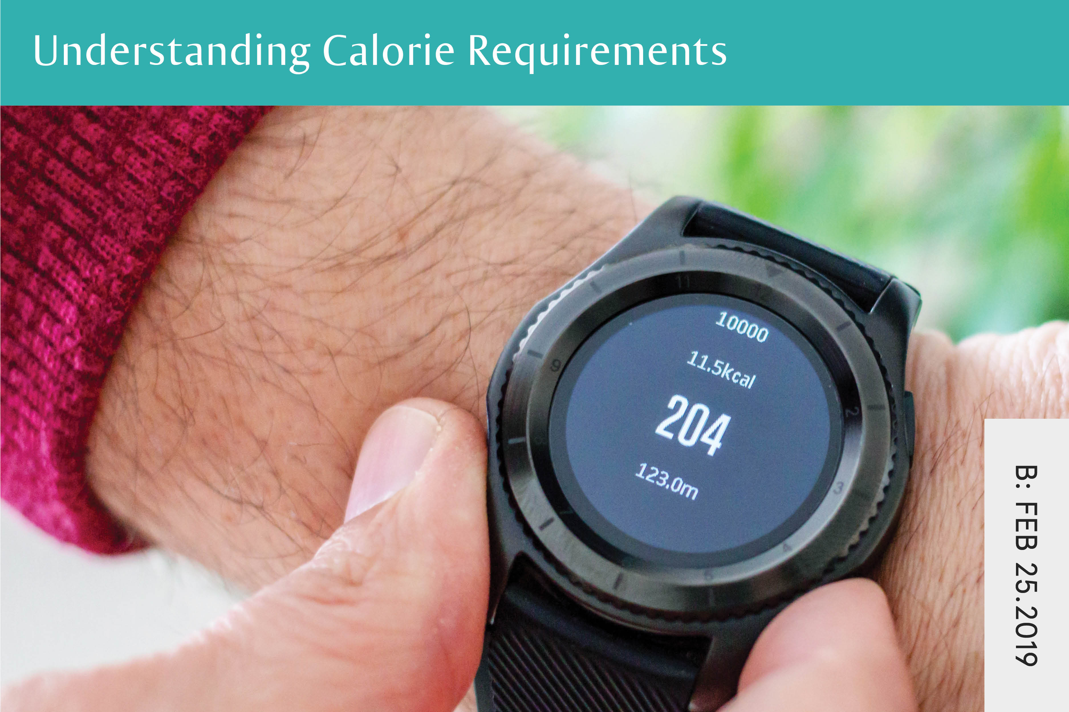 Understanding Calorie Requirements - Seven Health: Eating Disorder Recovery and Anti Diet Nutritionist