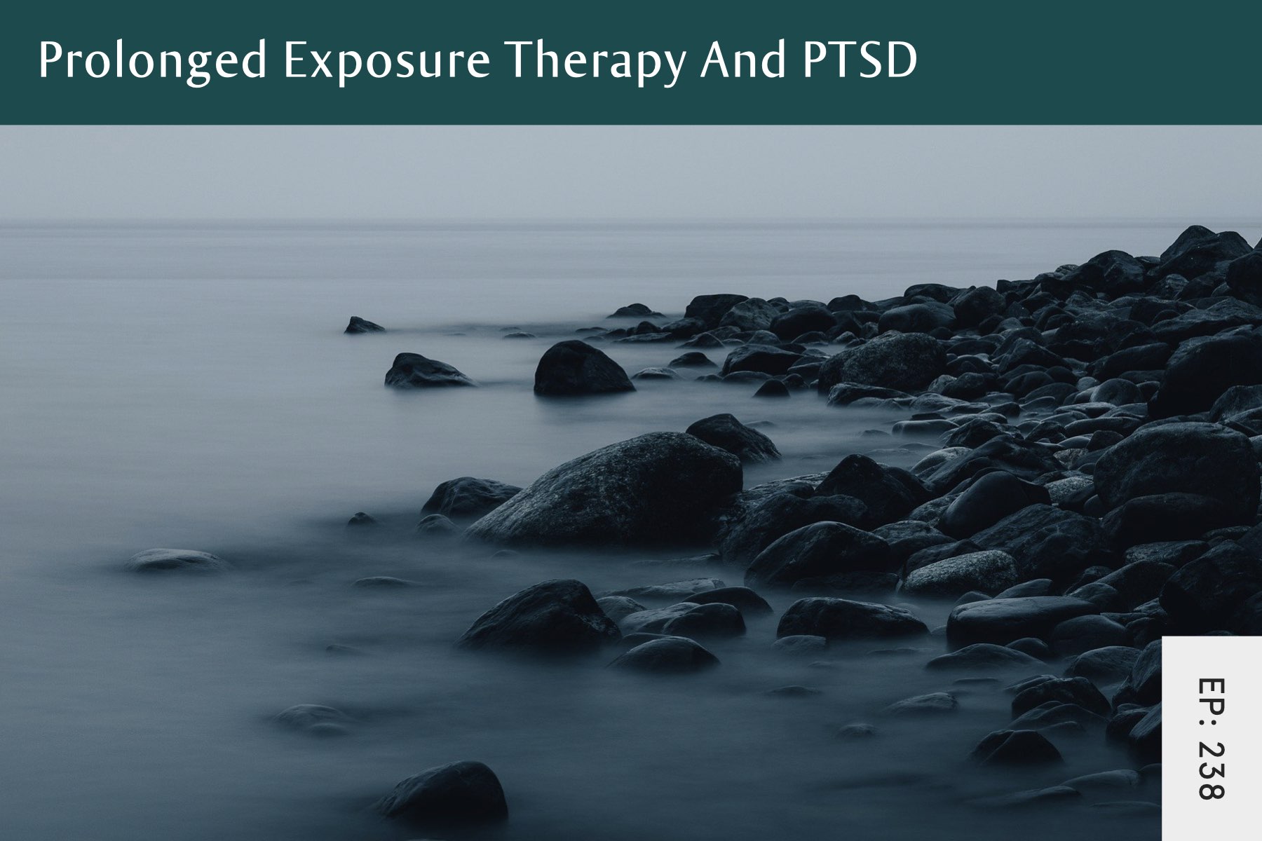 238: Prolonged Exposure Therapy, PTSD and Eating Disorder Recovery - Seven Health: Eating Disorder Recovery and Anti Diet Nutritionist