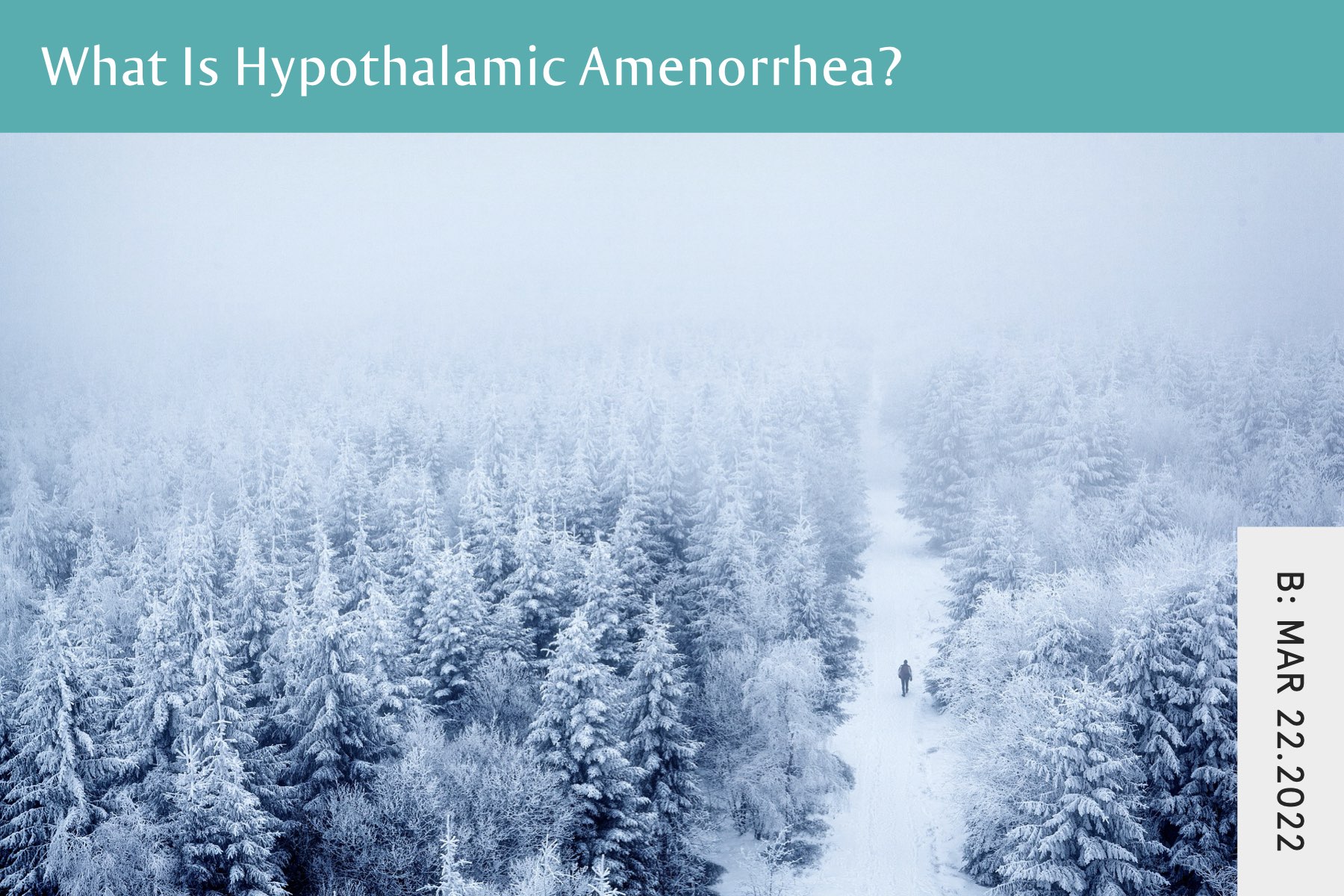 Hypothalamic Amenorrhea Recovery - Seven Health: Eating Disorder Recovery and Anti Diet Nutritionist