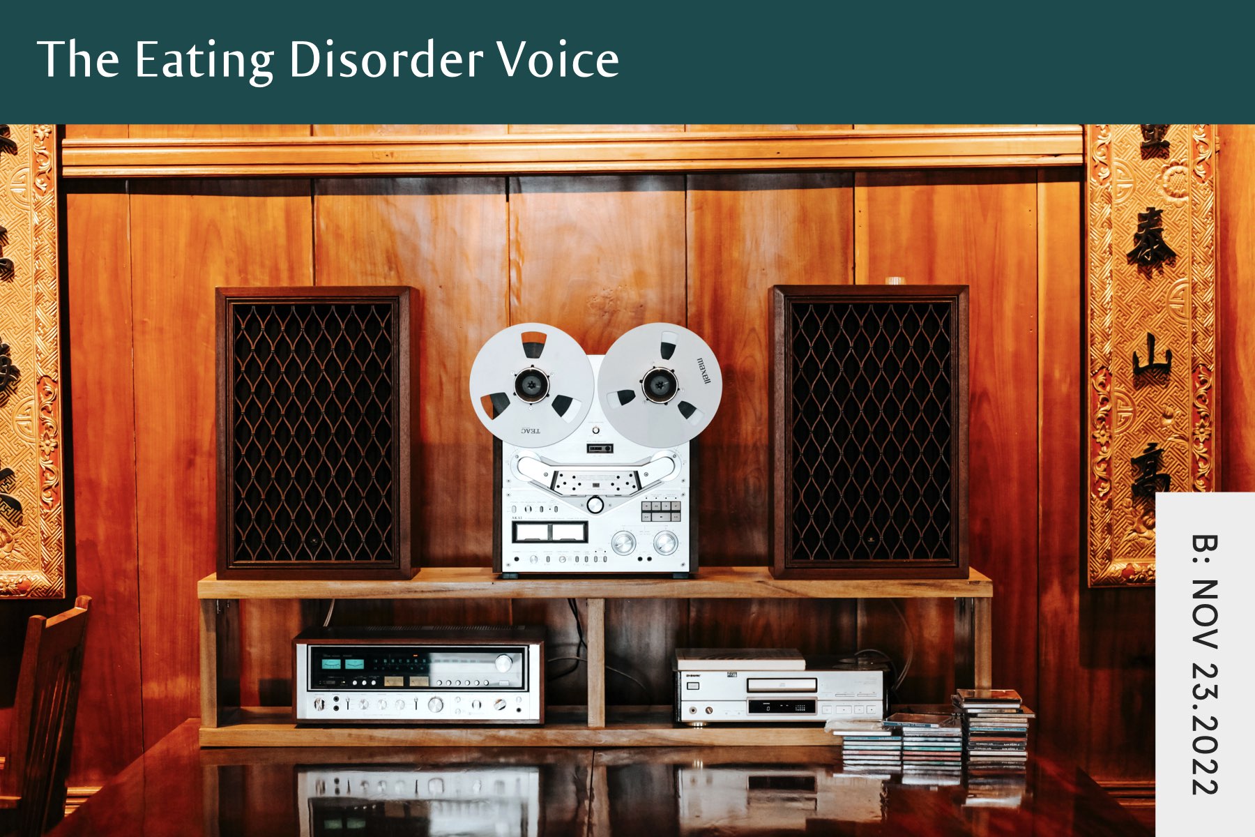 The Eating Disorder Voice - Seven Health: Eating Disorder Recovery and Anti Diet Nutritionist