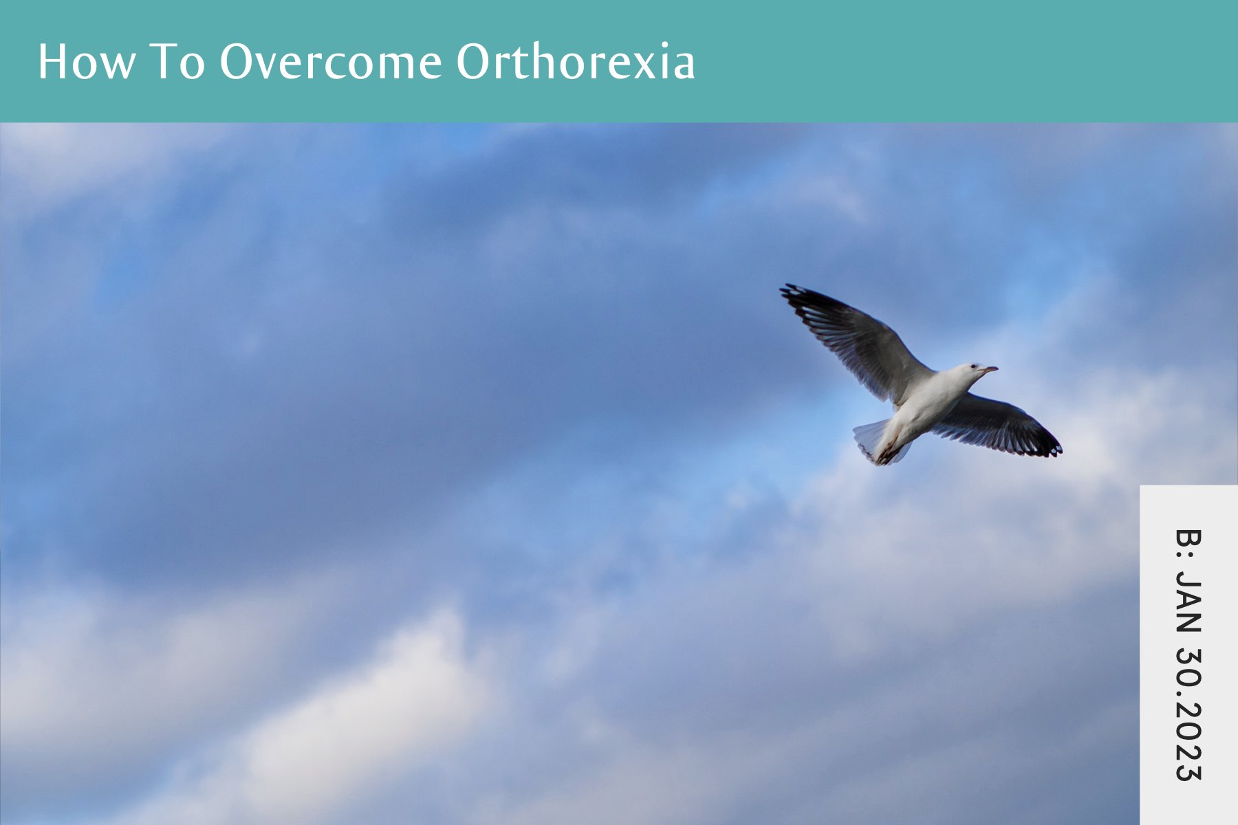 How To Overcome Orthorexia - Seven Health: Eating Disorder Recovery and Anti Diet Nutritionist