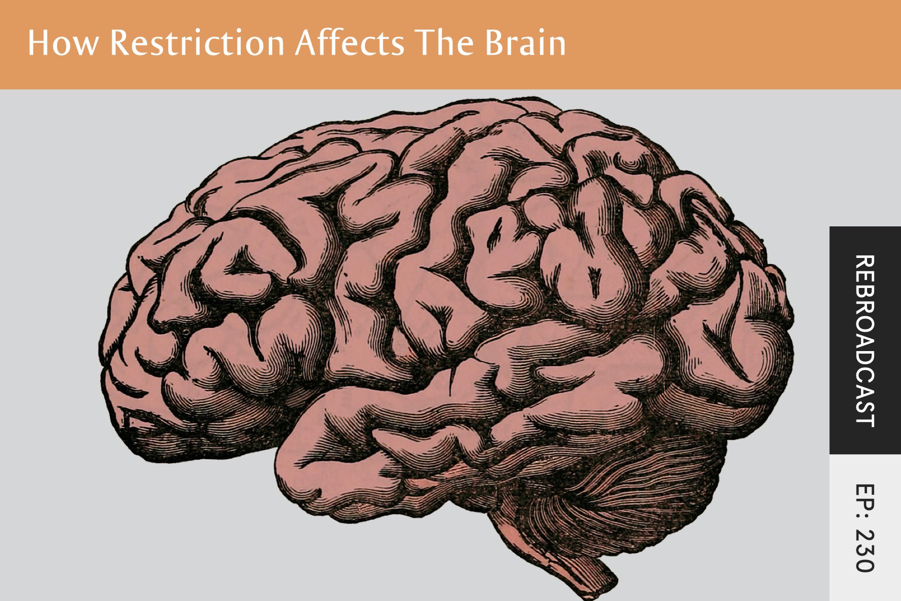 Rebroadcast: How Restriction Affects The Brain - Seven Health: Eating Disorder Recovery and Anti Diet Nutritionist