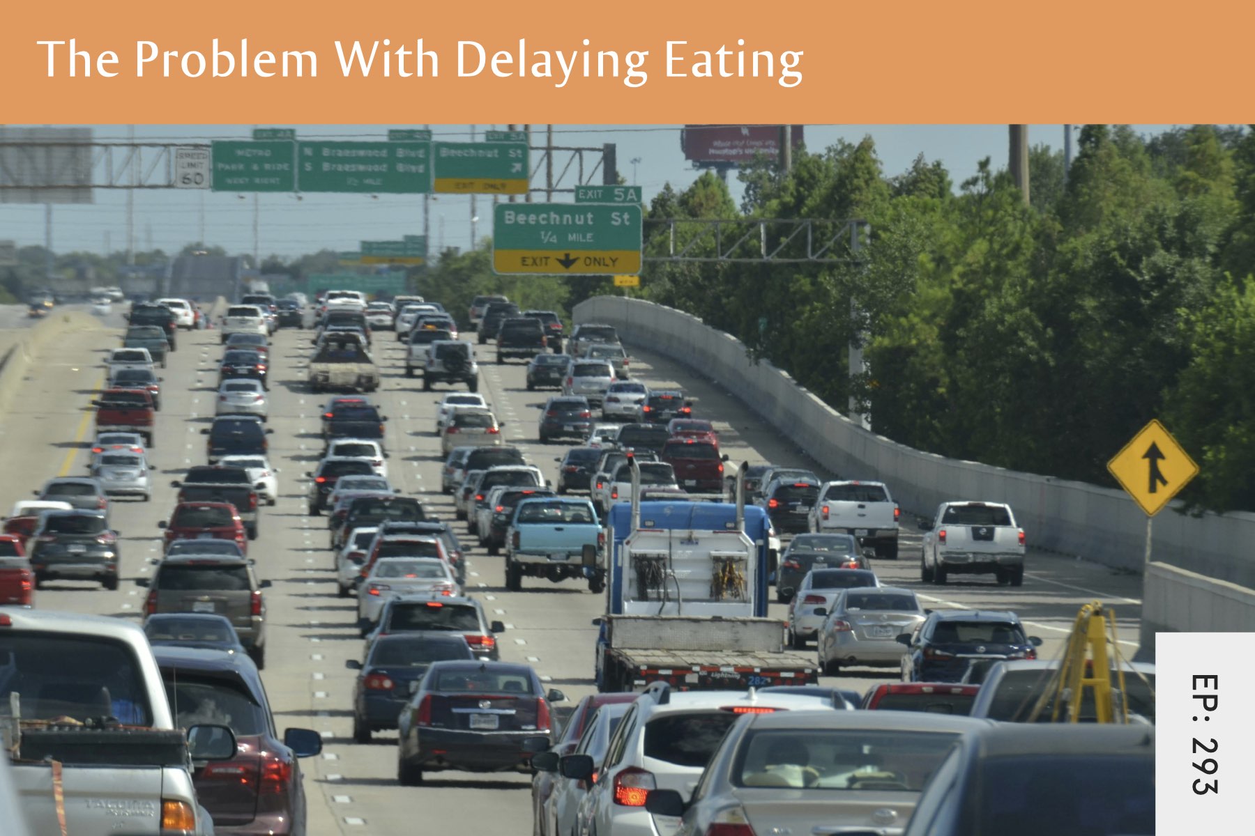 293: The Problem With Delaying Your Eating - Seven Health: Eating Disorder Recovery and Anti Diet Nutritionist