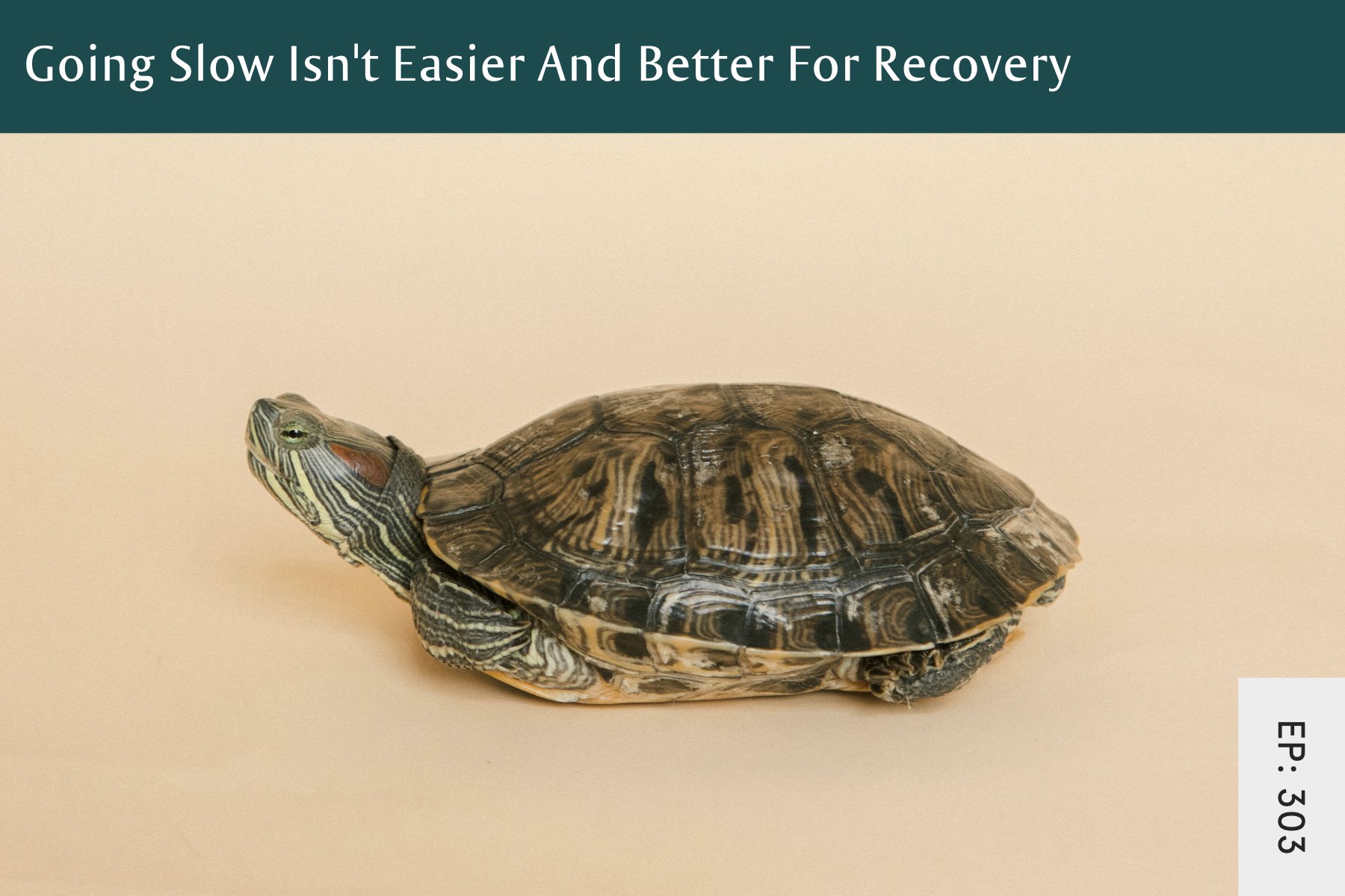 303: Going Slow Isn’t Easier And Better For Recovery - Seven Health: Eating Disorder Recovery and Anti Diet Nutritionist