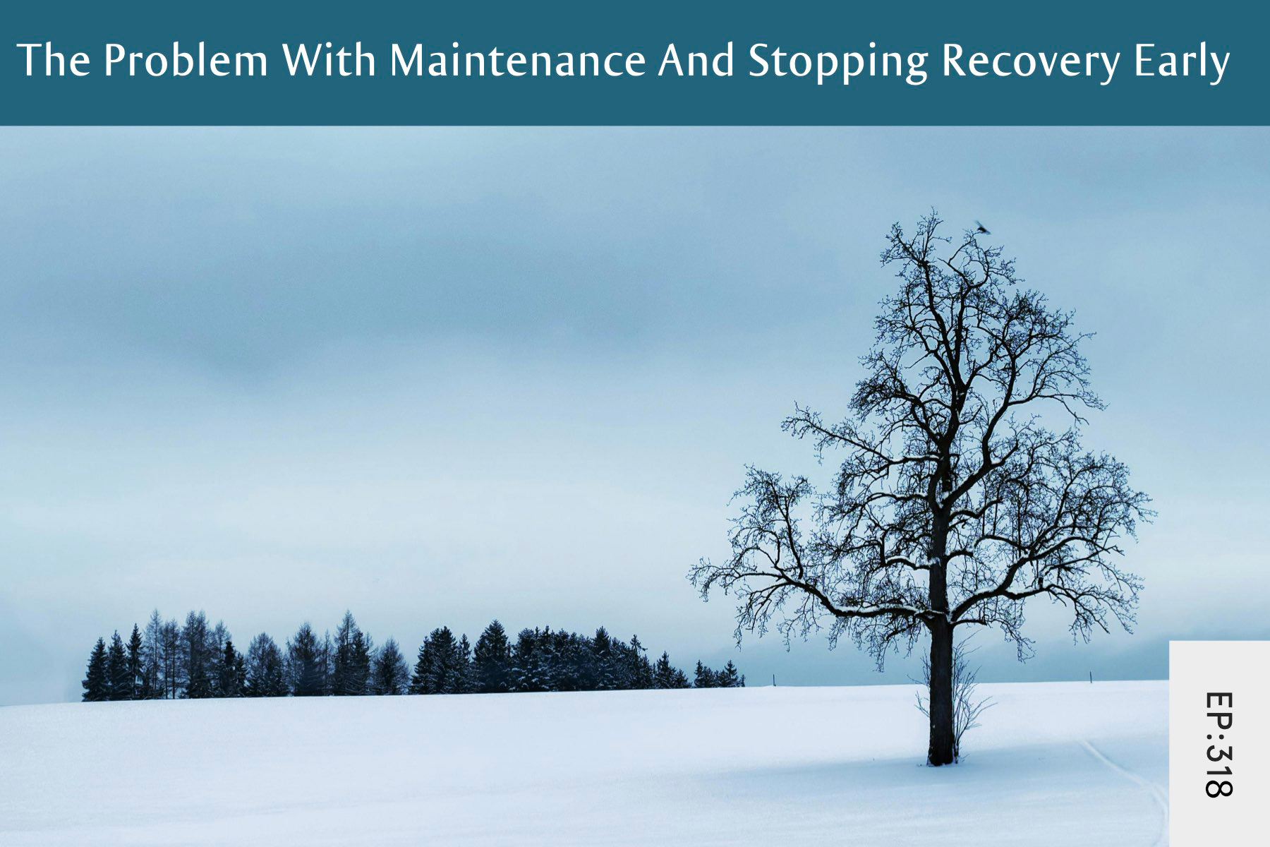 318: The Problem With Maintenance And Stopping Recovery Early - Seven Health: Eating Disorder Recovery and Anti Diet Nutritionist