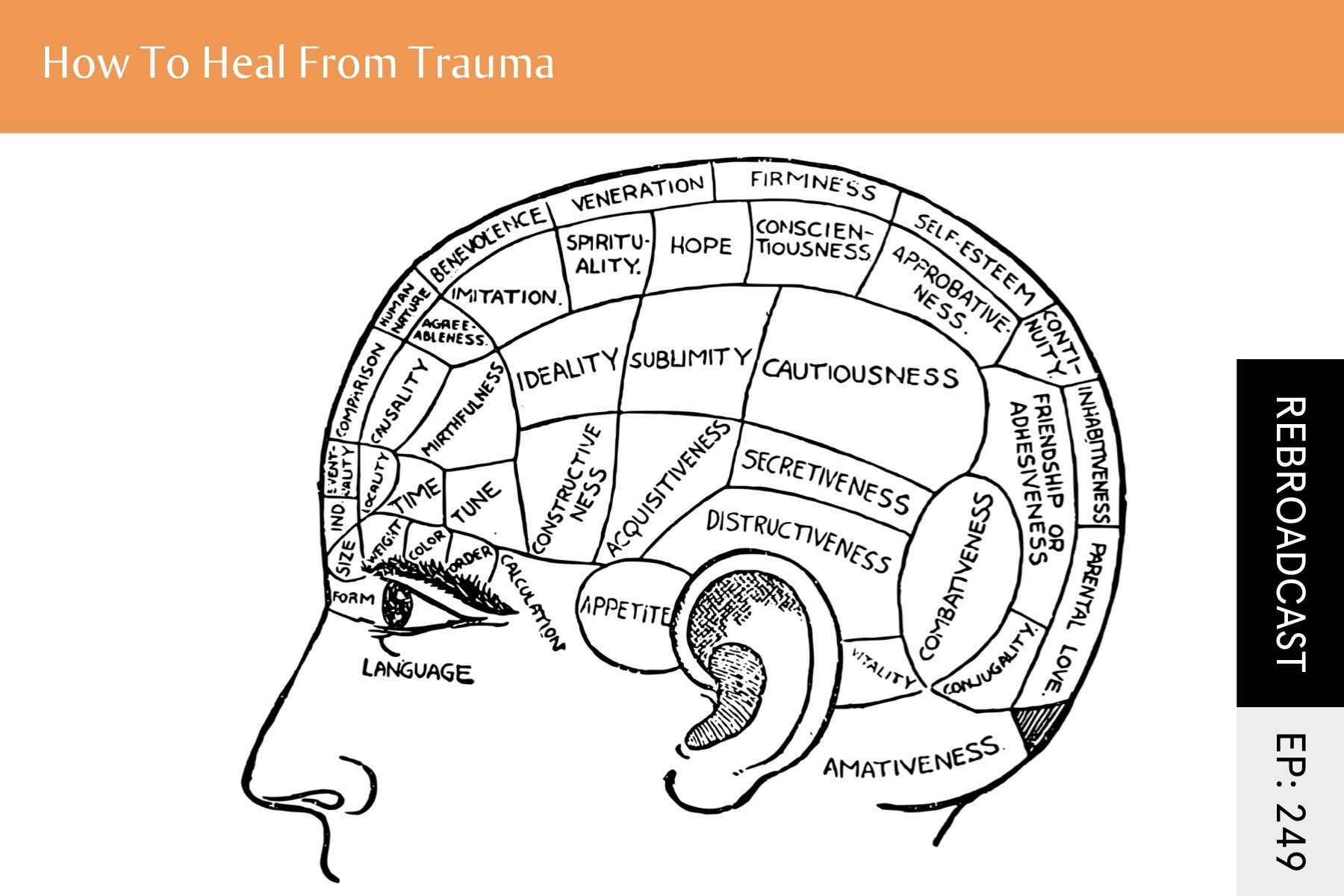 Rebroadcast: How To Heal From Trauma - Seven Health: Eating Disorder Recovery and Anti Diet Nutritionist