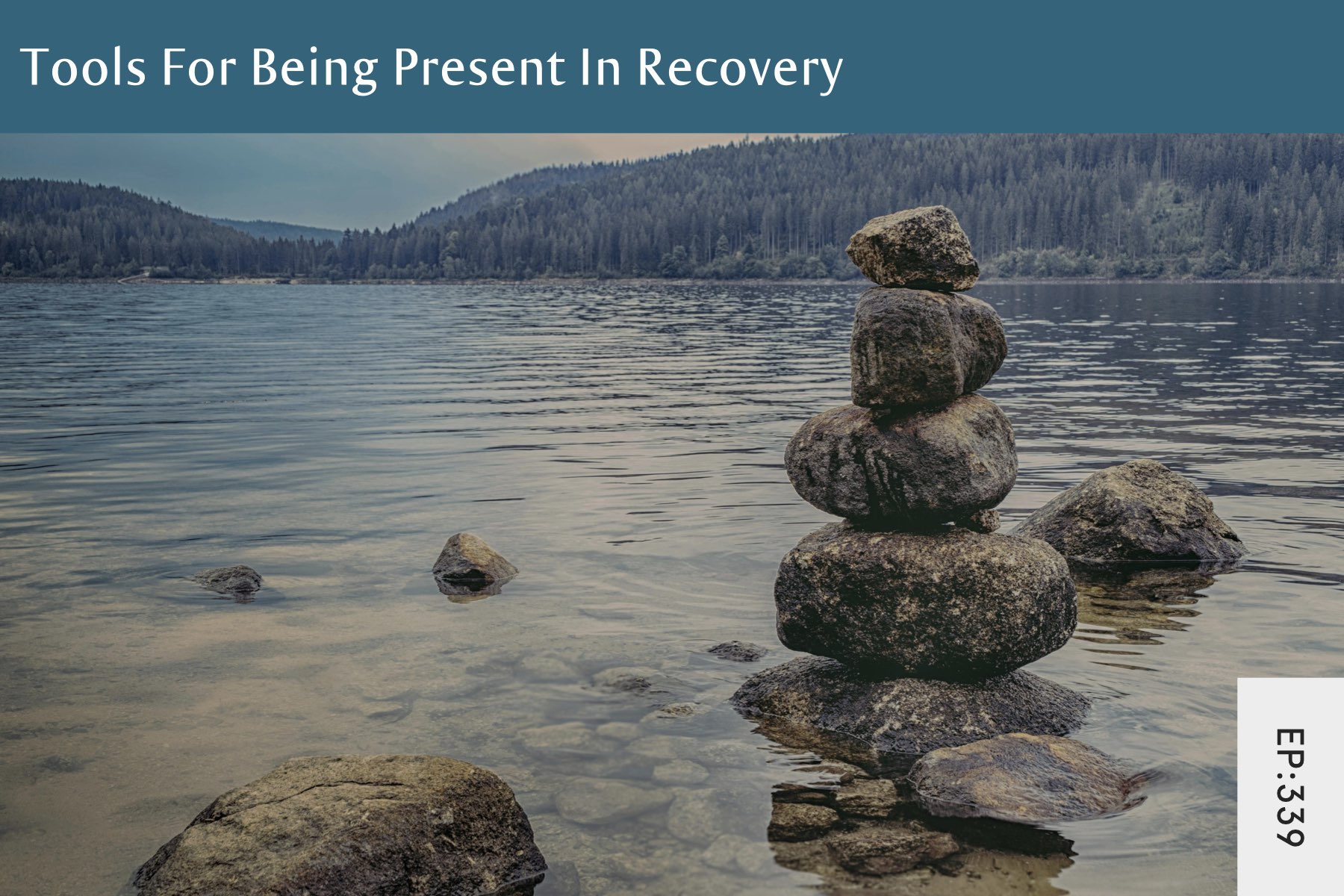 339: Tools For Being Present In Recovery - Seven Health: Eating Disorder Recovery and Anti Diet Nutritionist