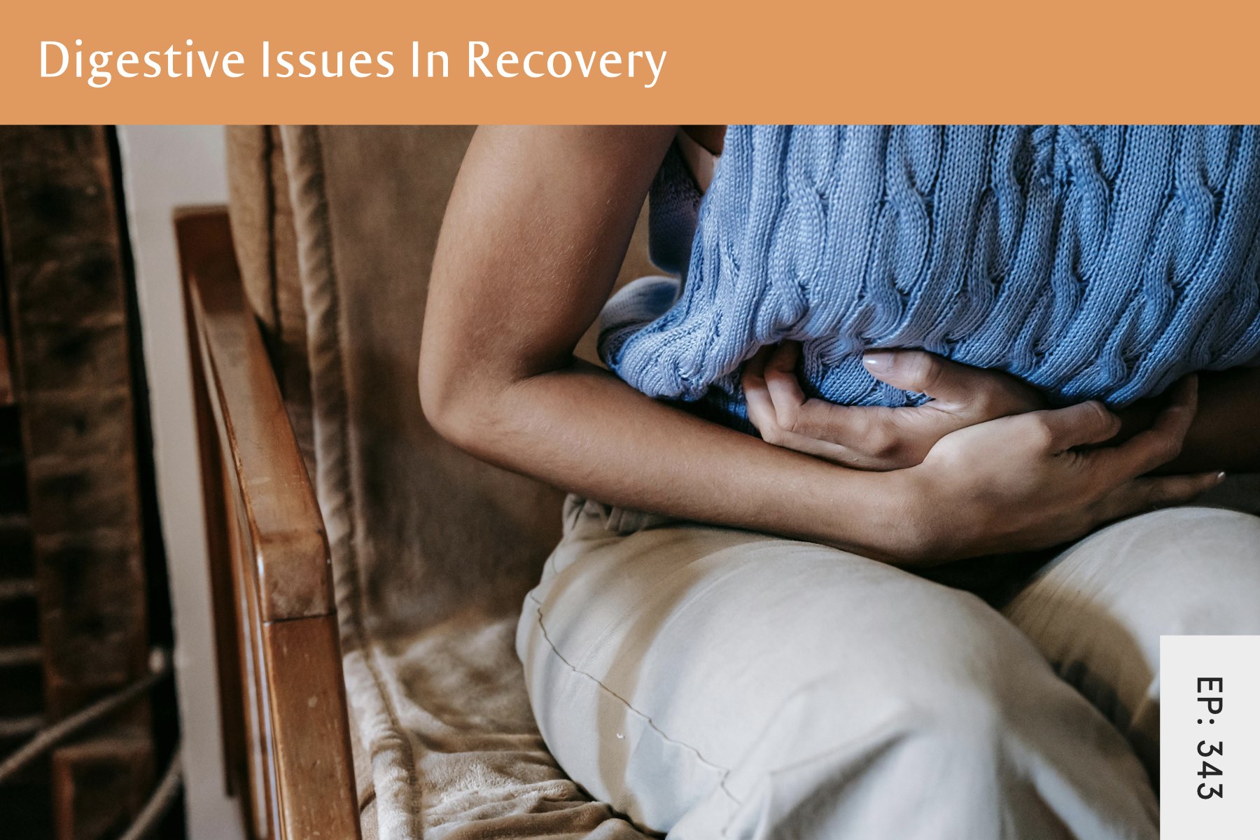 343: Digestive Issues In Recovery - Seven Health: Eating Disorder Recovery and Anti Diet Nutritionist