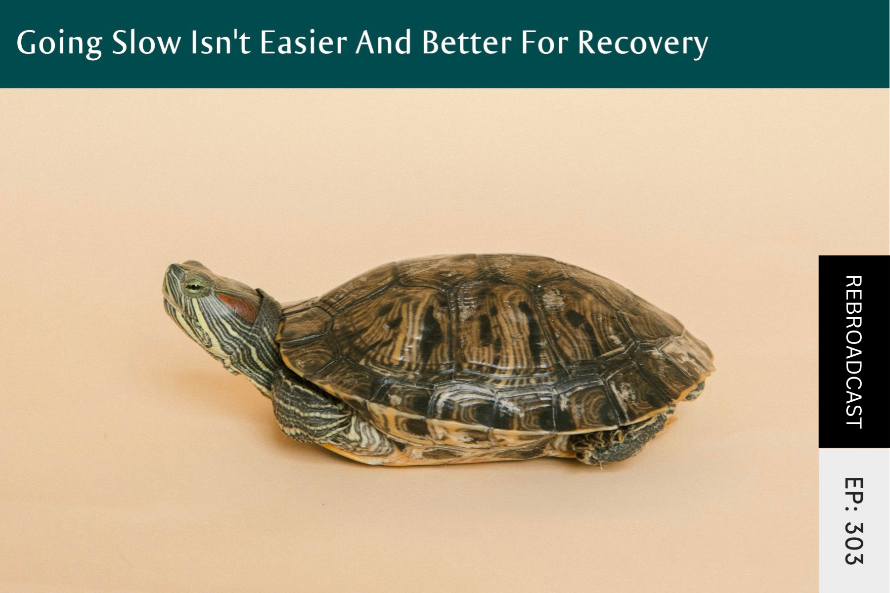 Rebroadcast: Going Slow Isn’t Easier And Better For Recovery - Seven Health: Eating Disorder Recovery and Anti Diet Nutritionist